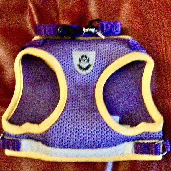 Dogs Harness and leash and dog brush,. new - Picture 5 of 16